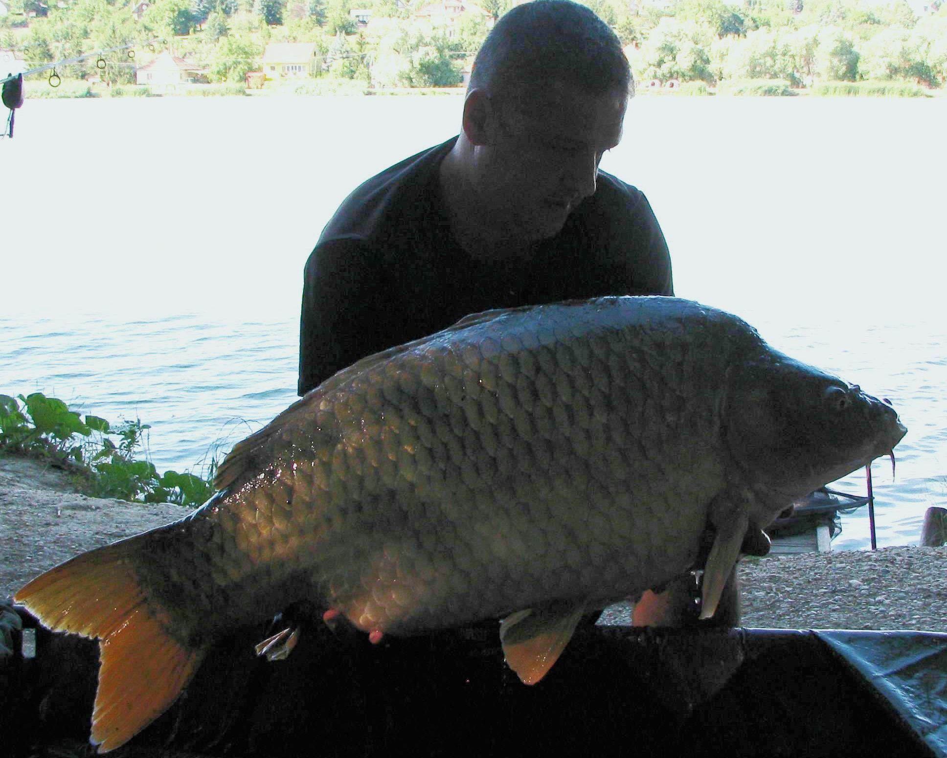 Harsany 22 - 27 iunie 2014 - img1376a1.JPG